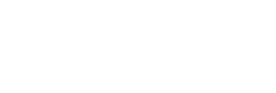 Duel company logo